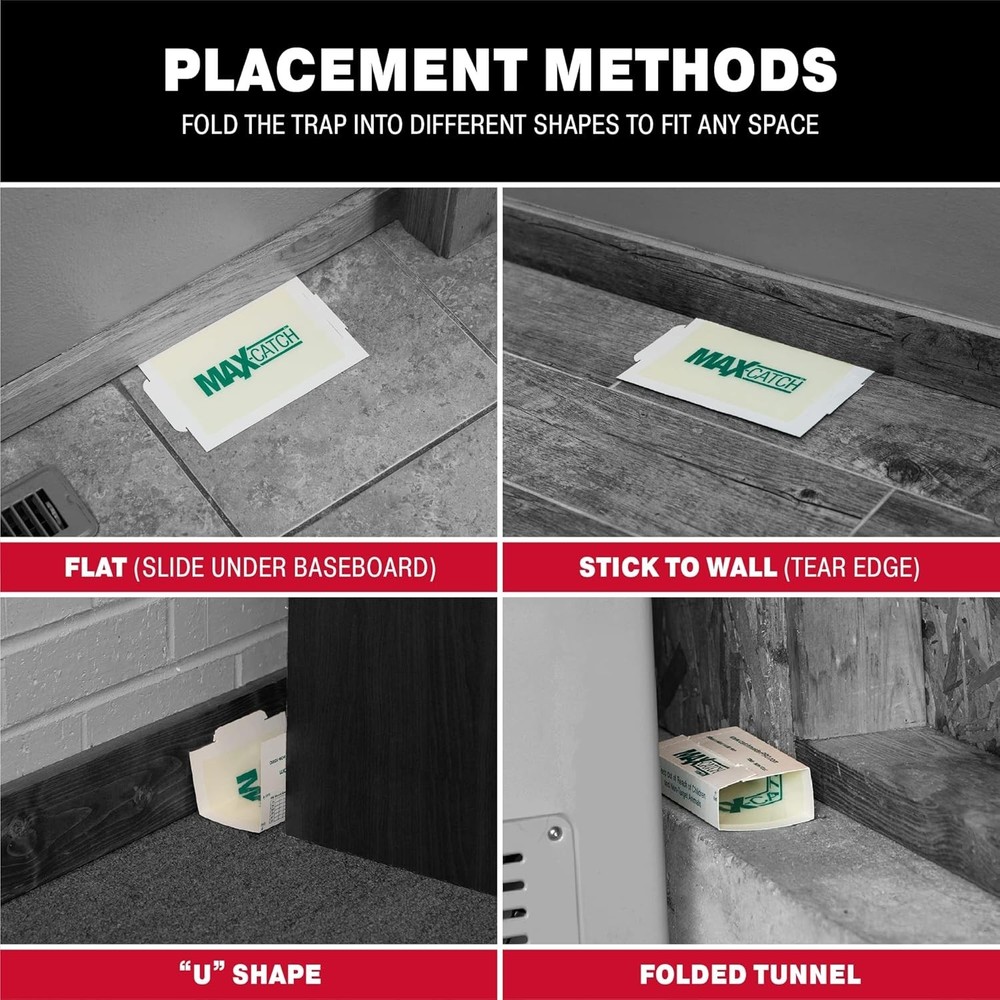 Catchmaster Max-Catch Mouse & Insect Glue Trap 72pk