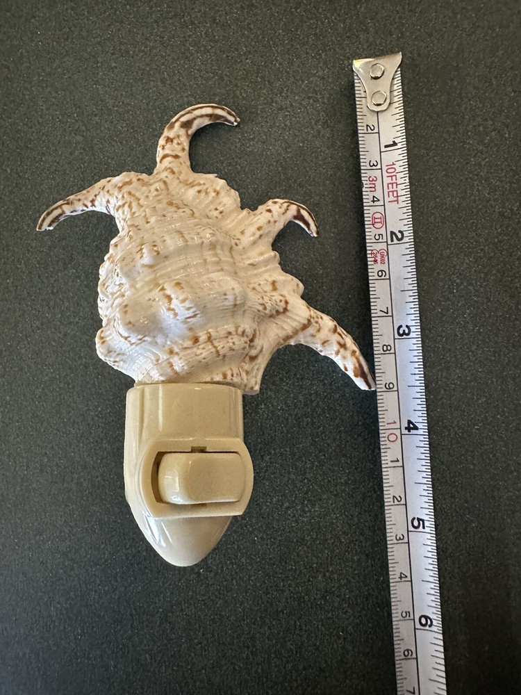 Vtg Seashell Night Light Plug in Beautiful Natural Shell Approx 5”