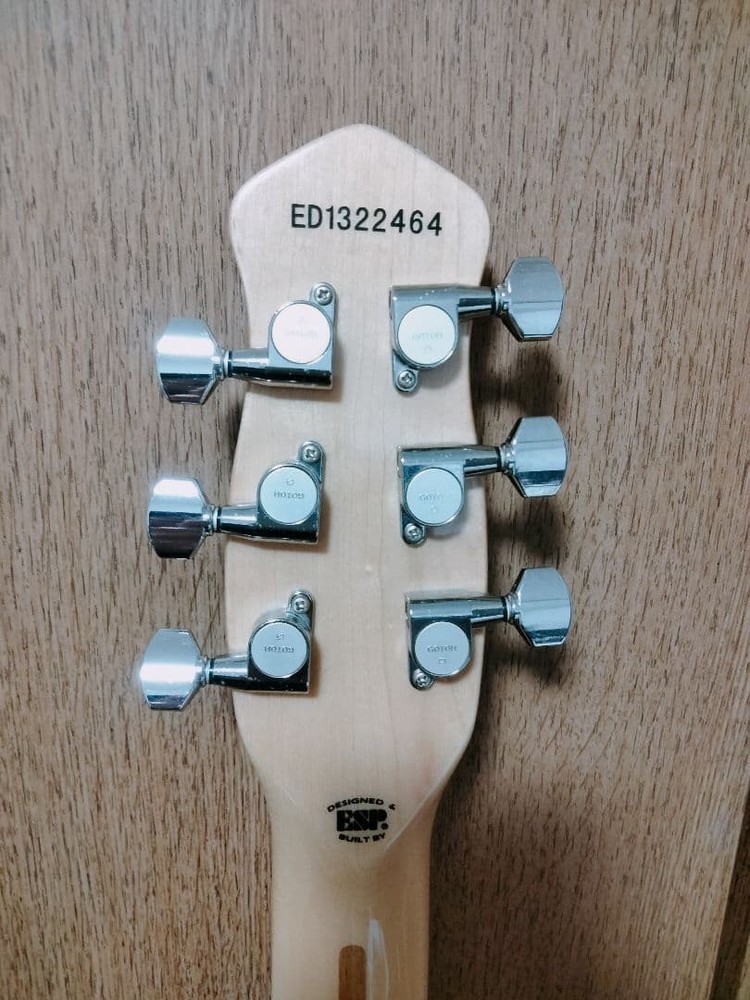 Edwards Electric Guitar Safe Packing!