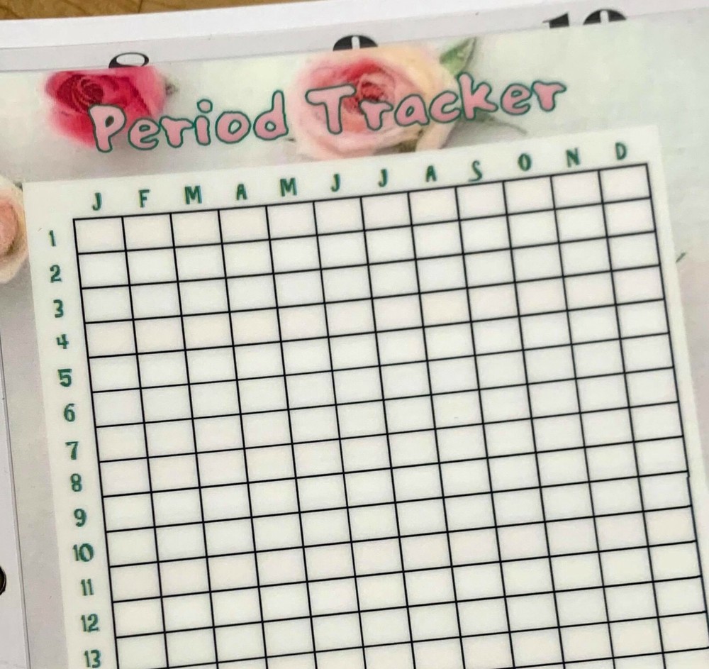 Period Menstrual Cycle Yearly Tracker Dashboard Insert 4 use w HAPPY Planner
