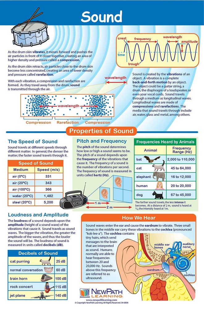 NewPath Physical Science Posters Set 5 Forces Motion Electricity Magnetism Sound