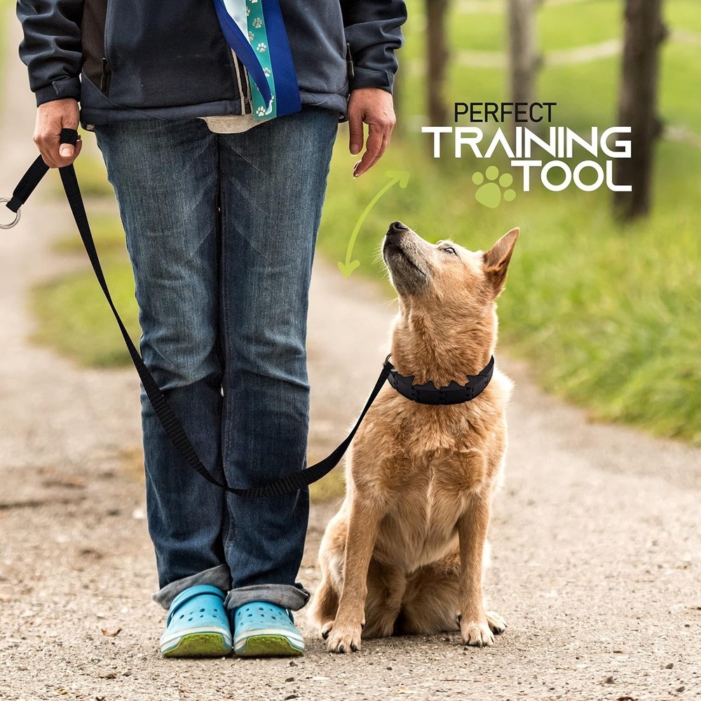 Prong Training Collar for Large Dogs – Gentle Control for Obedience Training