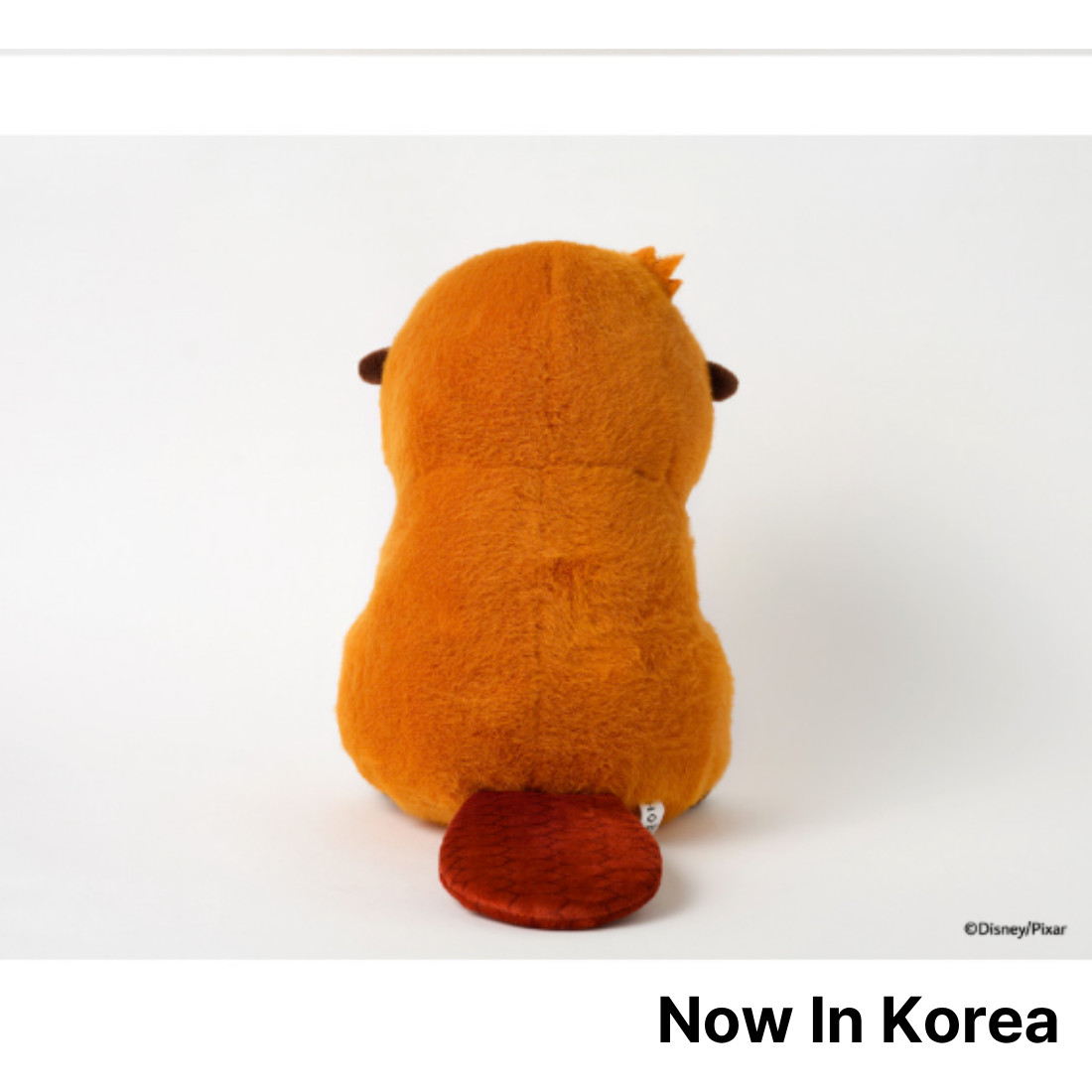 Disney Pixar Hoppers 2026 Movie Official Mabel Plush 25cm 10''from Korea Theater