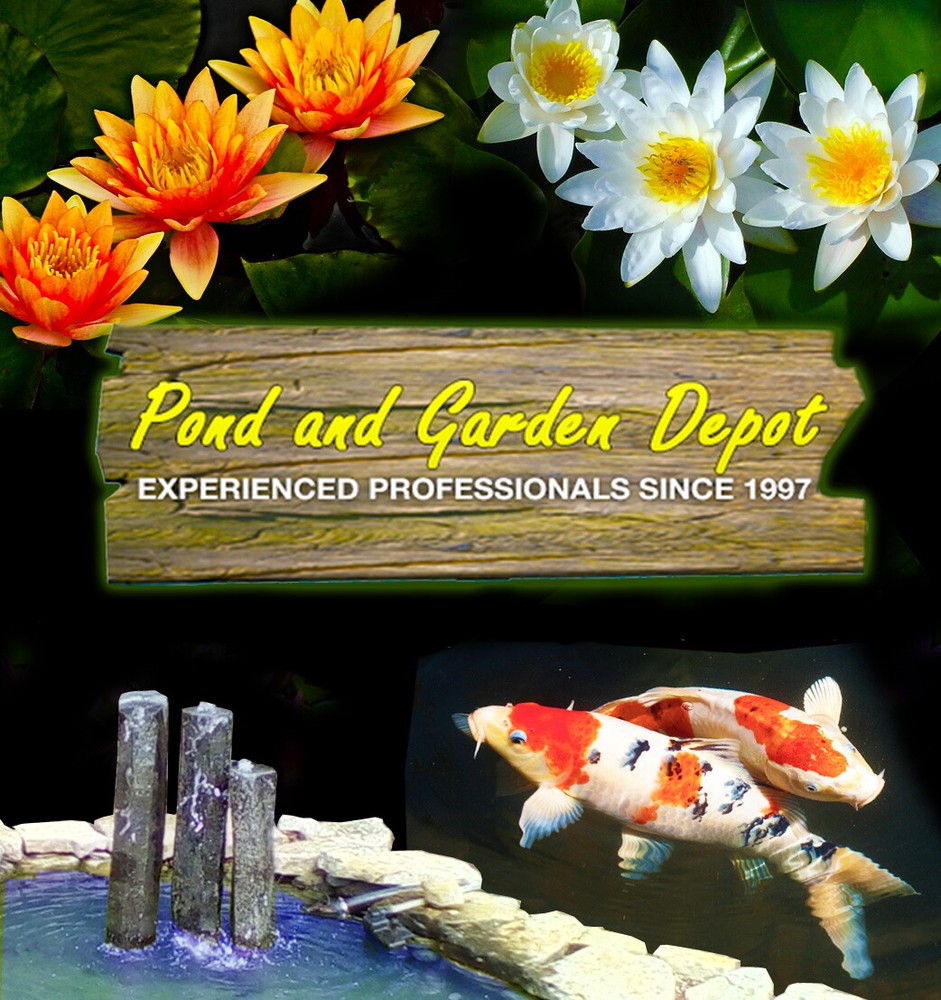 Interpet Pond Balance - Bulk Packaged 17.6 oz