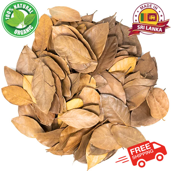 Dried natural jack fruit leaves /100% Bio ceylon organic