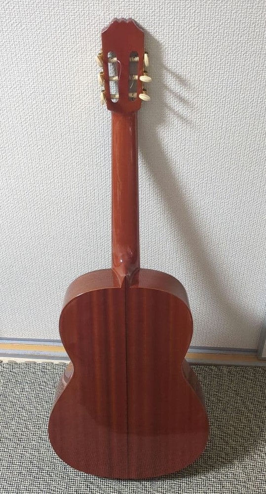 Aria AC25 Classical Guitar Practice Concert with Soft Case