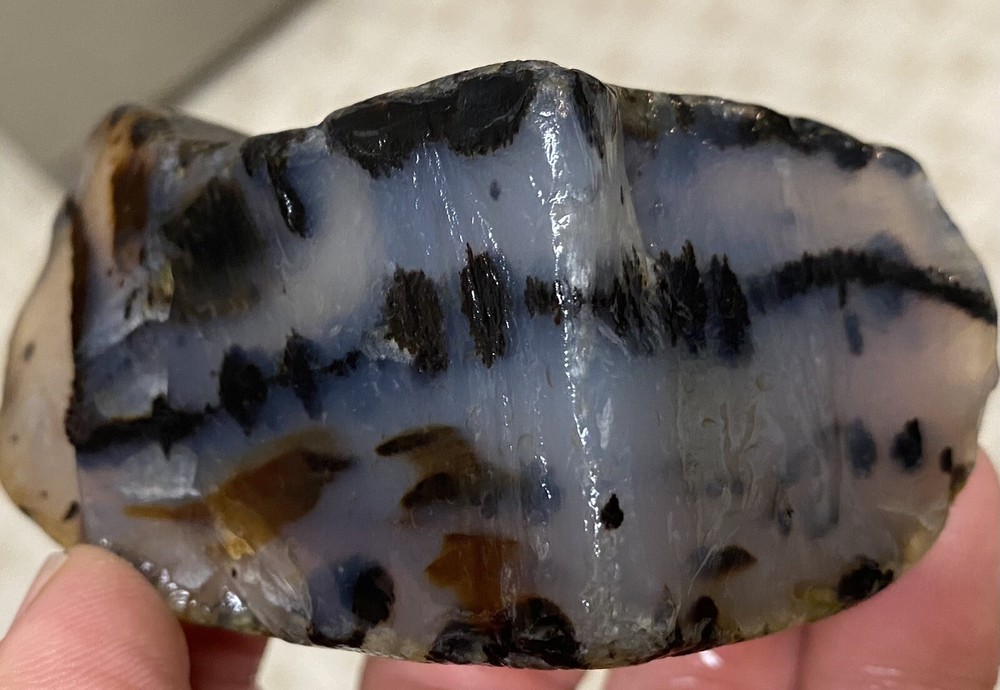 Montana Moss Agate Super High Grade