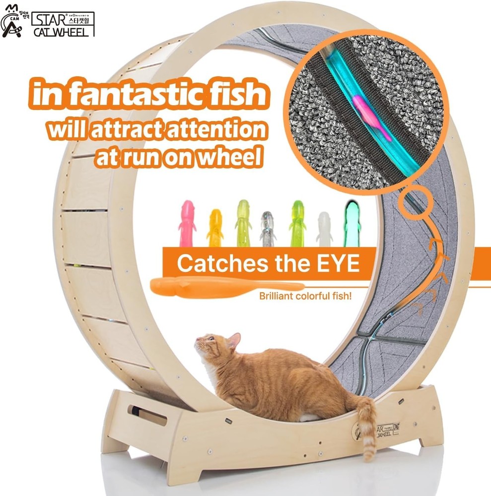 Large Cat Exercise Wheel for Climbing and Scratching, Safe and Durable Materials