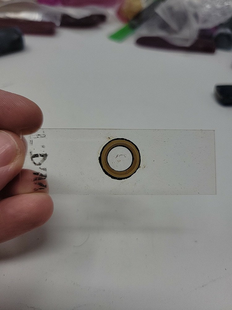 Vintage Microscope Slide 1941