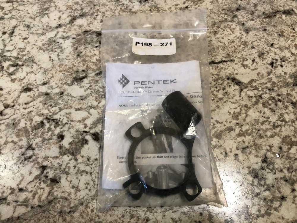 Pentek Motor Gasket P198-271