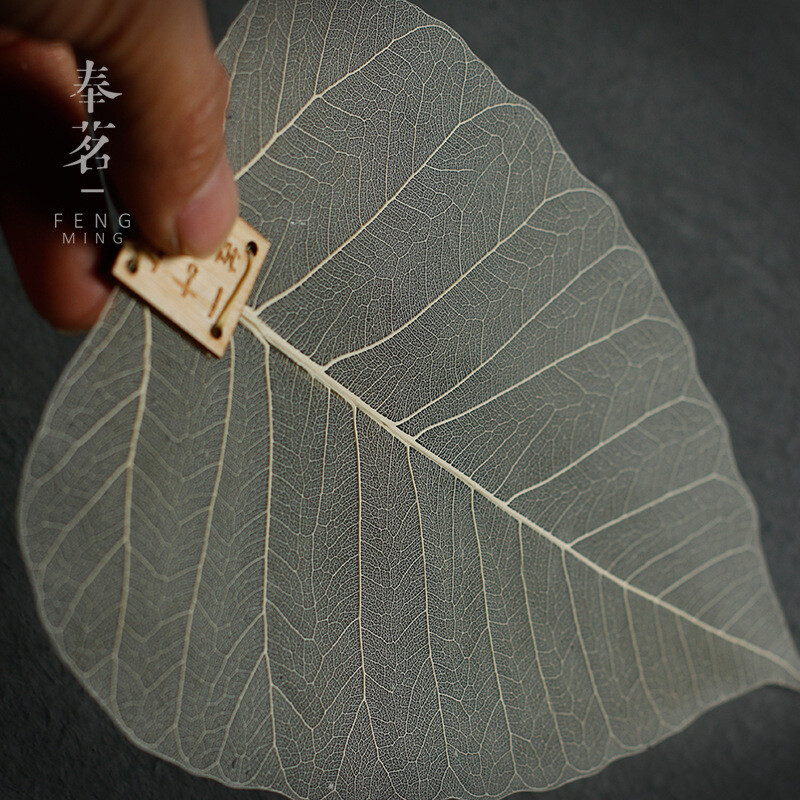 Bodhi Leaf Tea Strainer Zen Natural Leaves Filter Tea Filter Bookmark