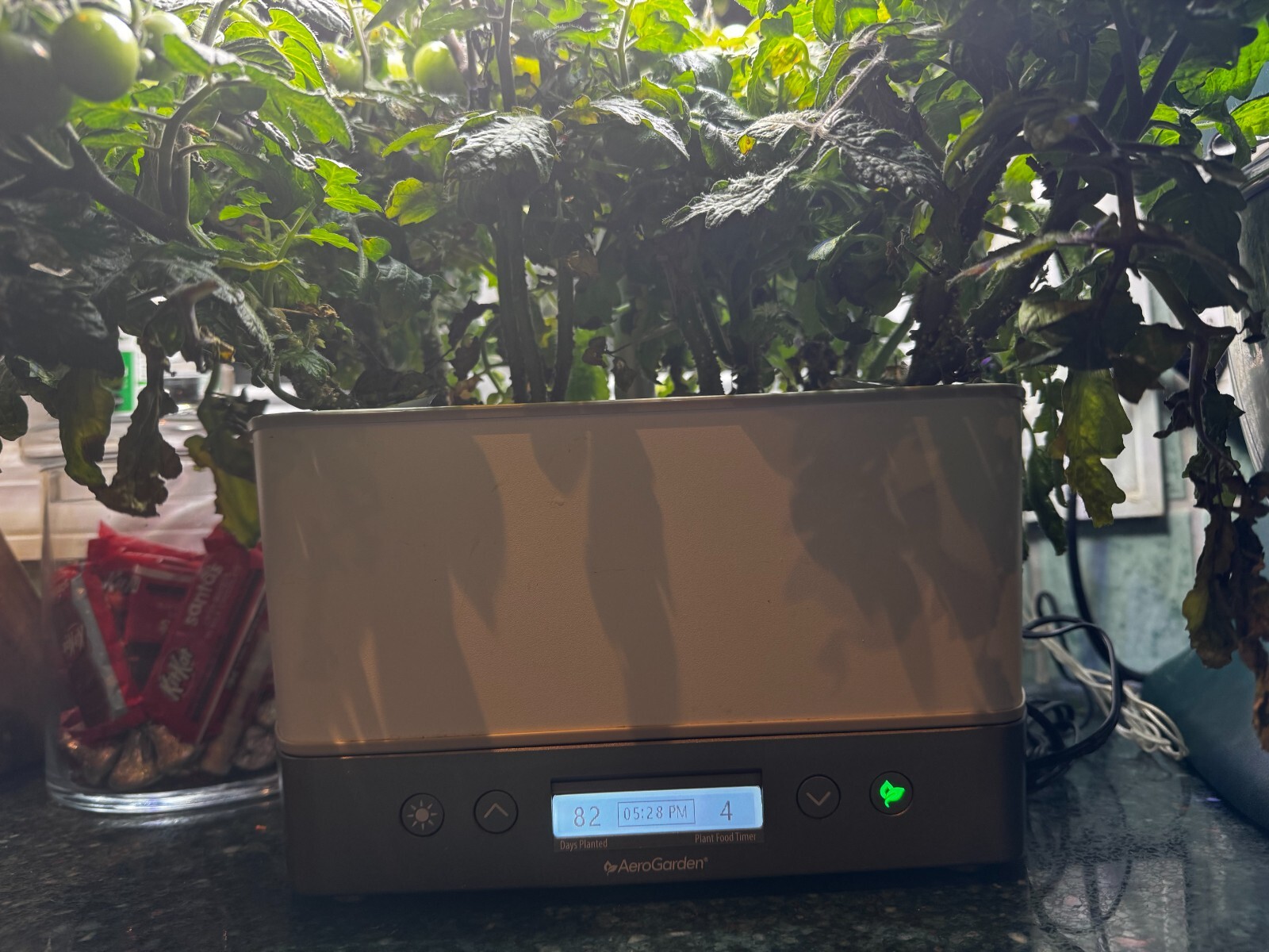 Aerogarden Harvest Elite Replacement LCD Screen 25632 Monochrome