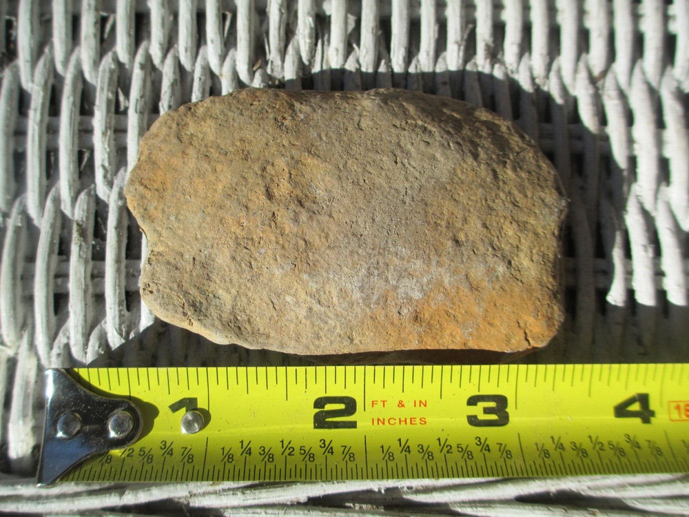 Great Small Fossil Crab Concretion (Avitelmessus grapsoideus)