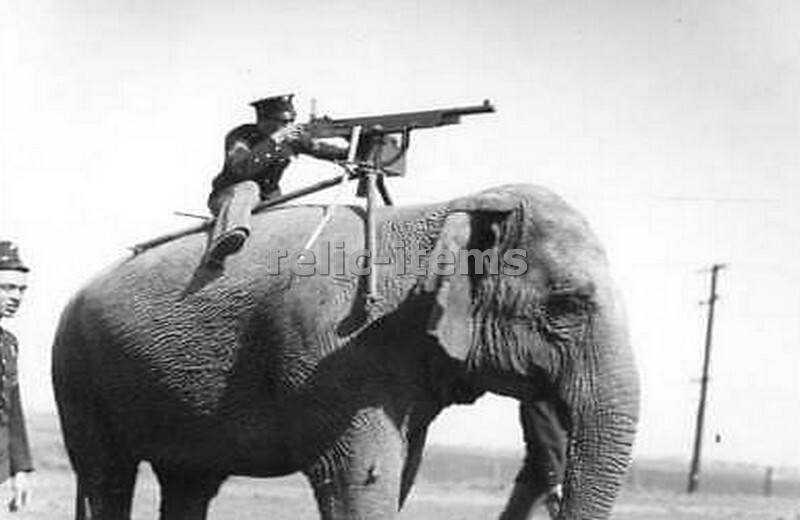 PICTURE PHOTO WW1 MACHINE GUN MOUNTED ON ELEPHANT 7158