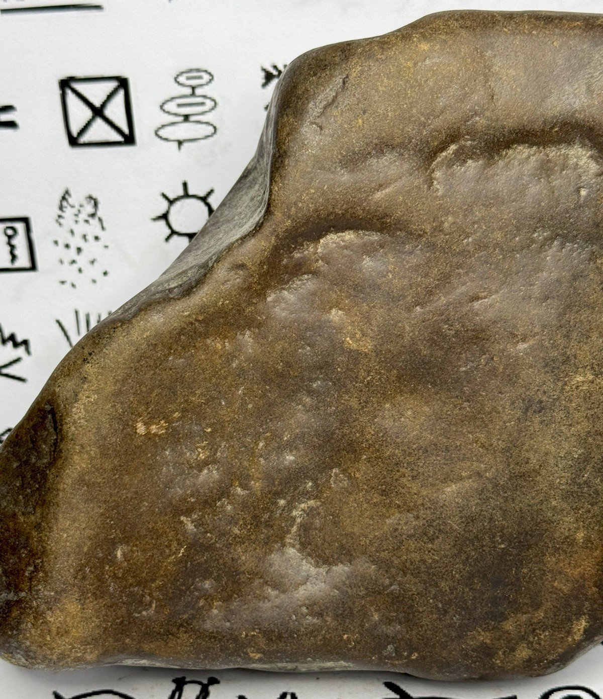 Native American Indian Authentic Artifact Stone Carved Effigy, 3 lb 14 oz • VA