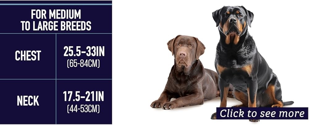 Leash No Pull Dog Harn, Easy Walk for Small, Medium, and Lar