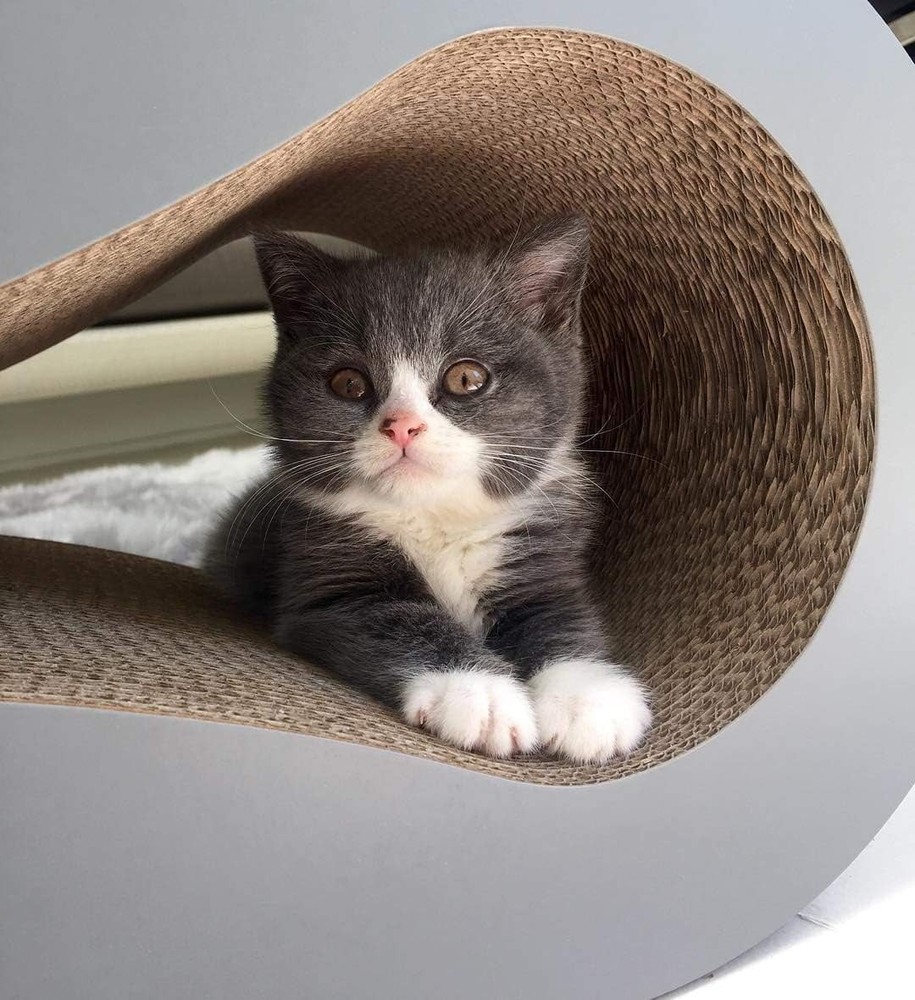 Ultimate Reversible Infinity Cat Scratcher Lounge & Bed Durable & Long Lasting