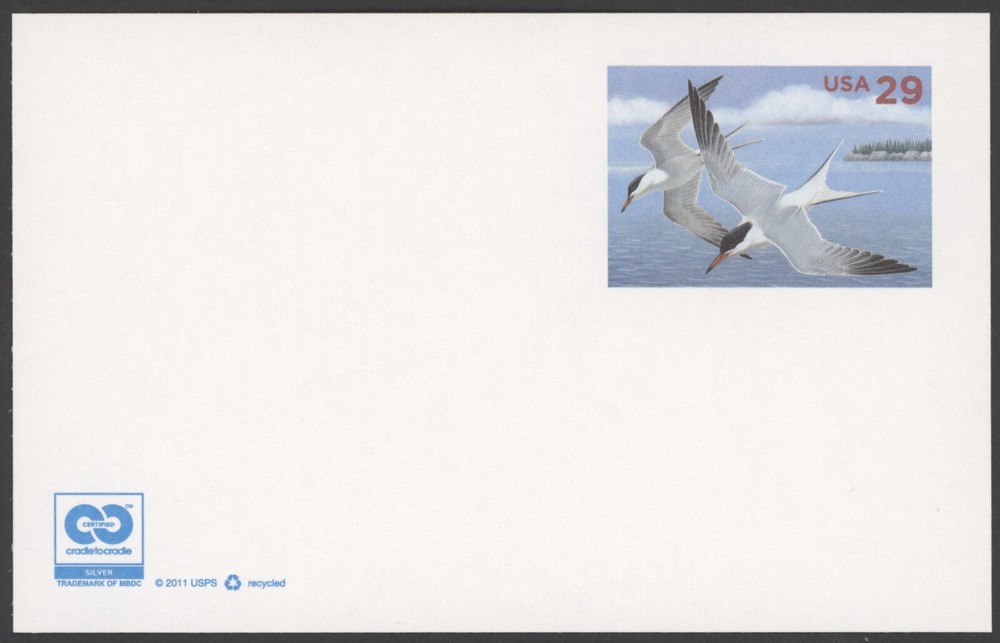 UX621 29c Common Terns, Mint Postal Card