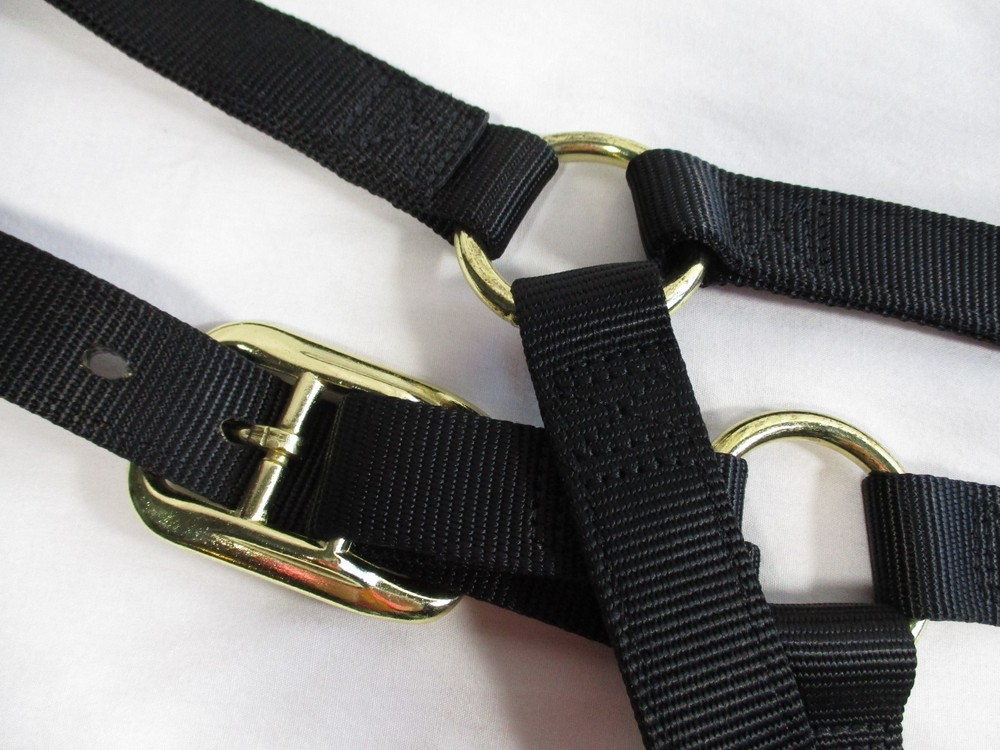 Weaver Leather Basic Non-Adjustable Nylon Horse Halter Large Black 35-7406-BK