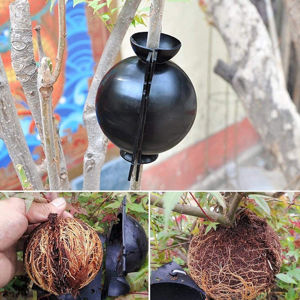 18 Pack Tree Root Growing Box, Rooting Ball Grafting Tools,High Pressure Plan...