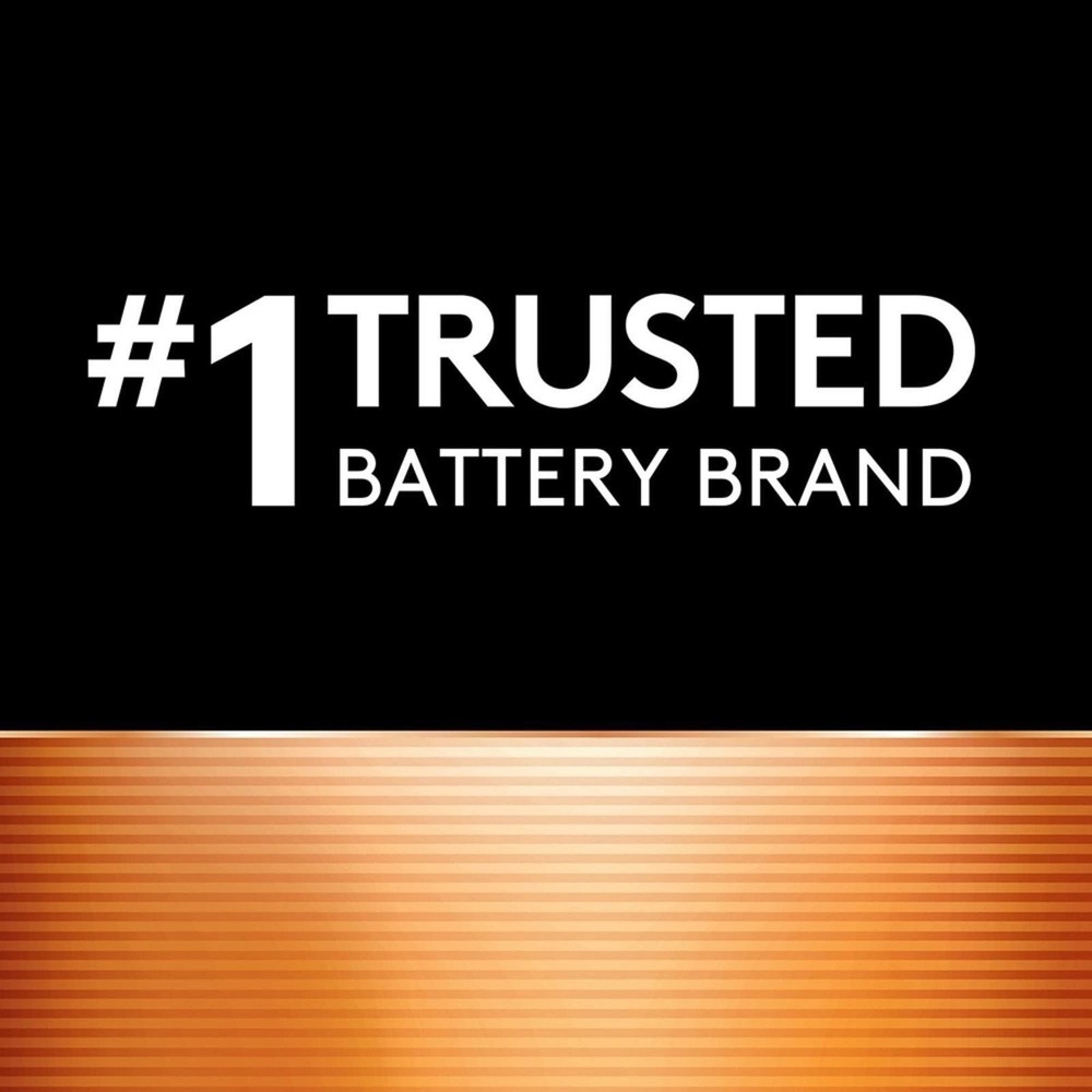 Duracell CopperTop D Batteries