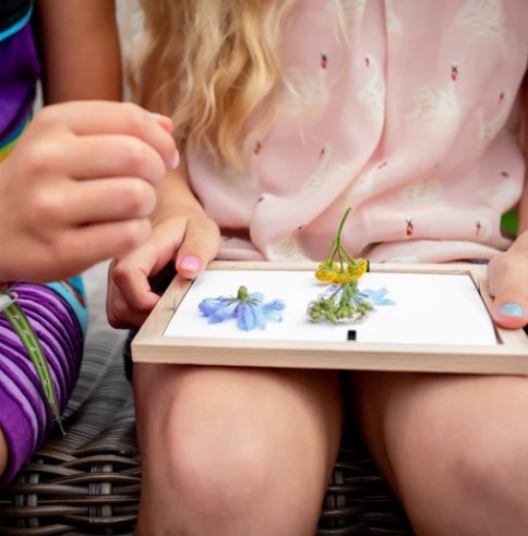 Kikkerland Flower Press Frame Kit