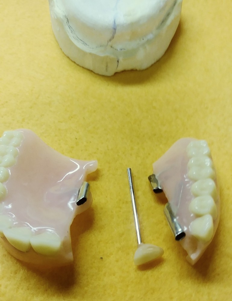 Devided  Denture DENTAL DEMONSTRATION  TEACHING MODEL Lab Dentist & Oral Surgeon