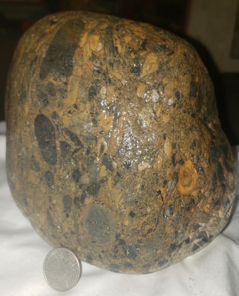 Conglomerate boulder from California