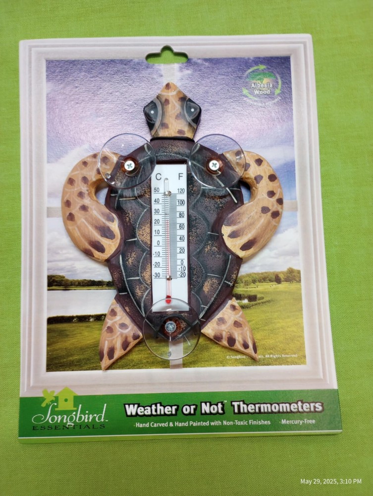 Weather or Not Thermometer Turtle