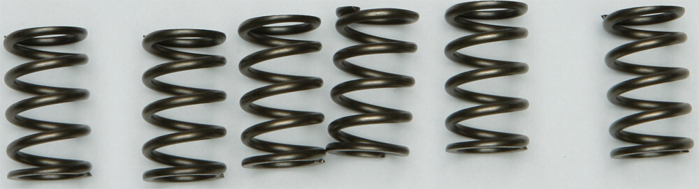 EBC CSK Clutch Spring Kit CSK130