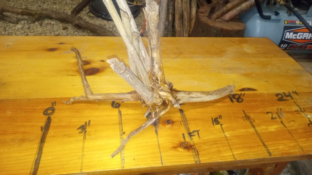 Beautiful Small Driftwood Tree