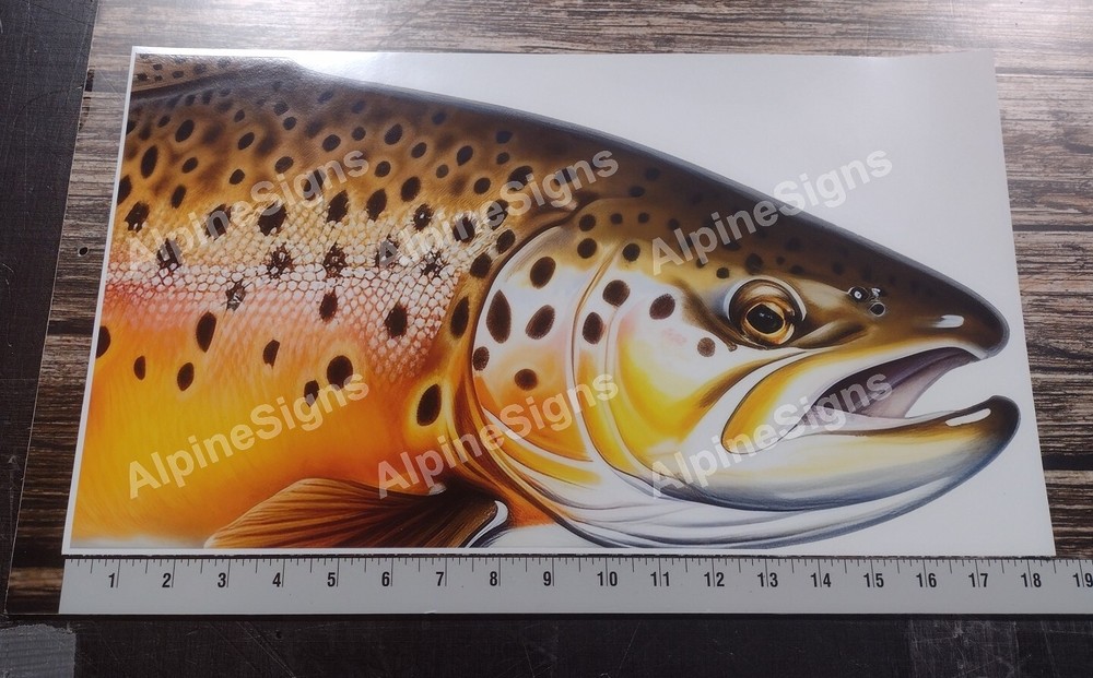 Brown Trout sticker wrap cover graphics for mailbox