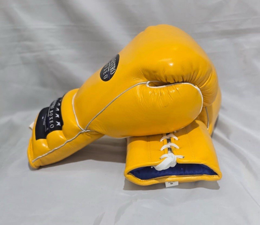 Maestro Boxeo