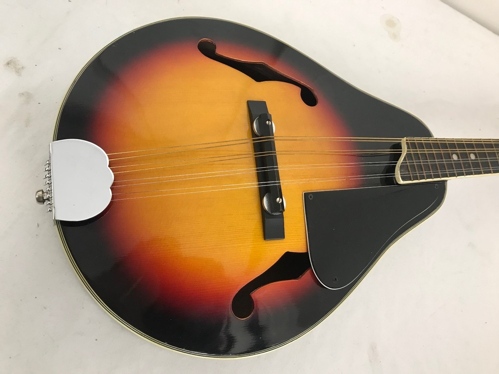 Marquis by Harmony Mandolin w/ Hard Case