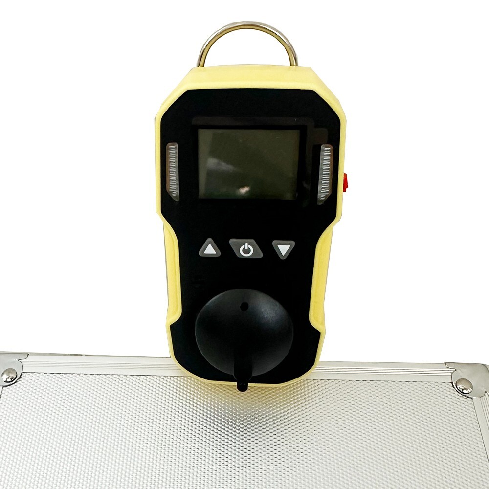 Portable PH3 Gas Detector for Phosphine with Range 0-20ppm Resolution 0.1ppm
