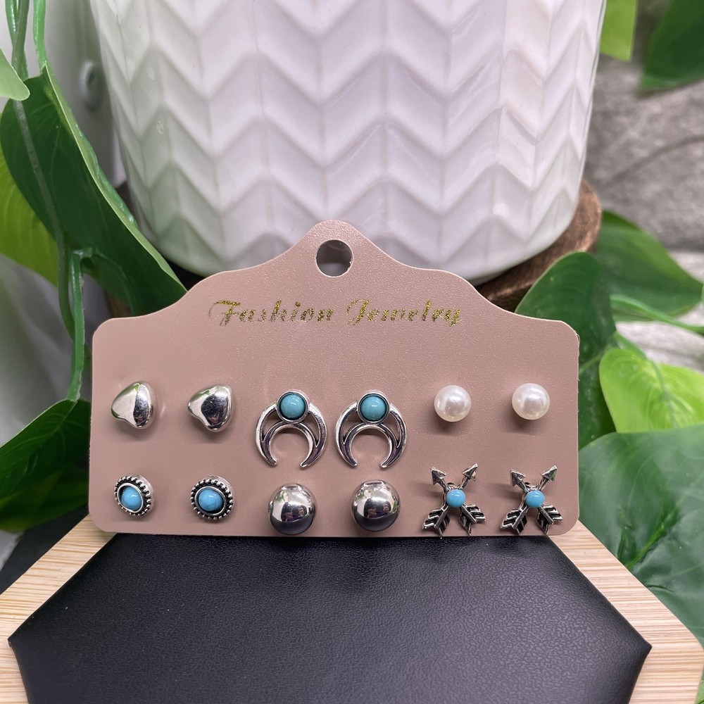 12 PC Matching Post Stud Earring Set Silver-Tone New Free Ship B8748