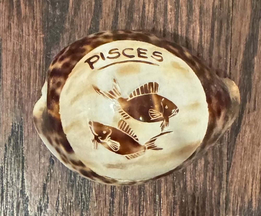 Seashell Zodiac PISCES Seashell Astrology Souvenir Conch Shell PISCES