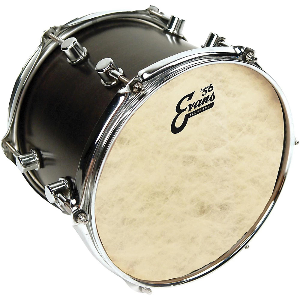 Evans Calftone Drumhead 12 in.