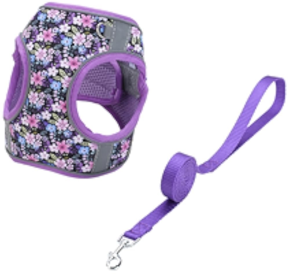 Step in Dog Harn No Pull Dinosaur Adjustable Soft Mesh Padded