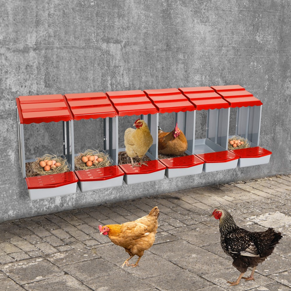 6-Compartment Chicken Nesting Box Chicken Laying Box Egg Collection 2 Mount Type