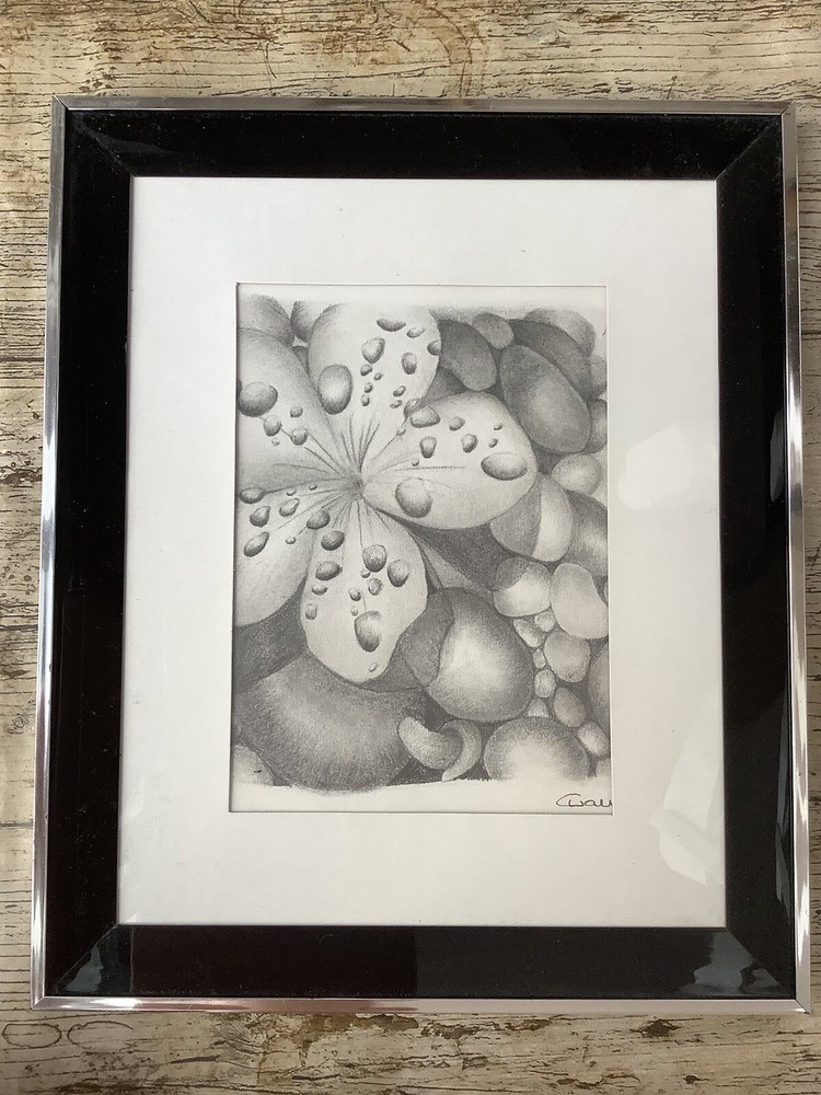 Flower With Water Droplets Drawing Sketch