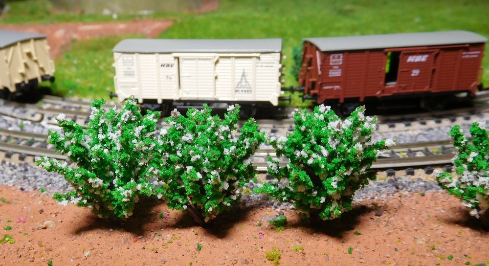 50 White Flowering Bushes, 40 Mm High