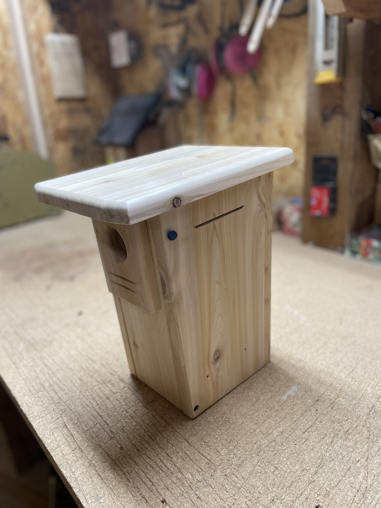White cedar Bluebird nesting box
