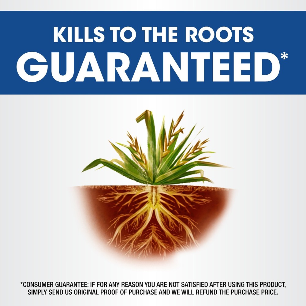 Roundup Weed & Grass Killer4 Concentrate, 1 gal.