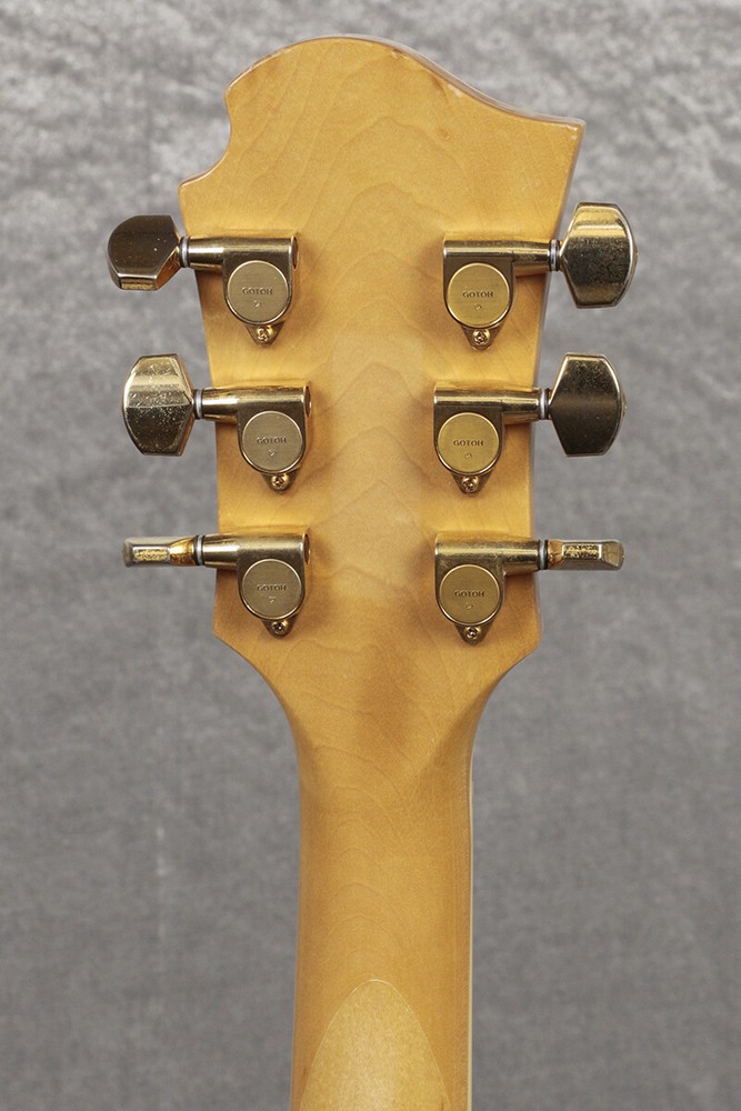 FERNANDES BURNY MG-165S Cherry Sunburst hide Model
