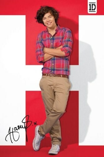 One Direction Poster Harry Standing Red