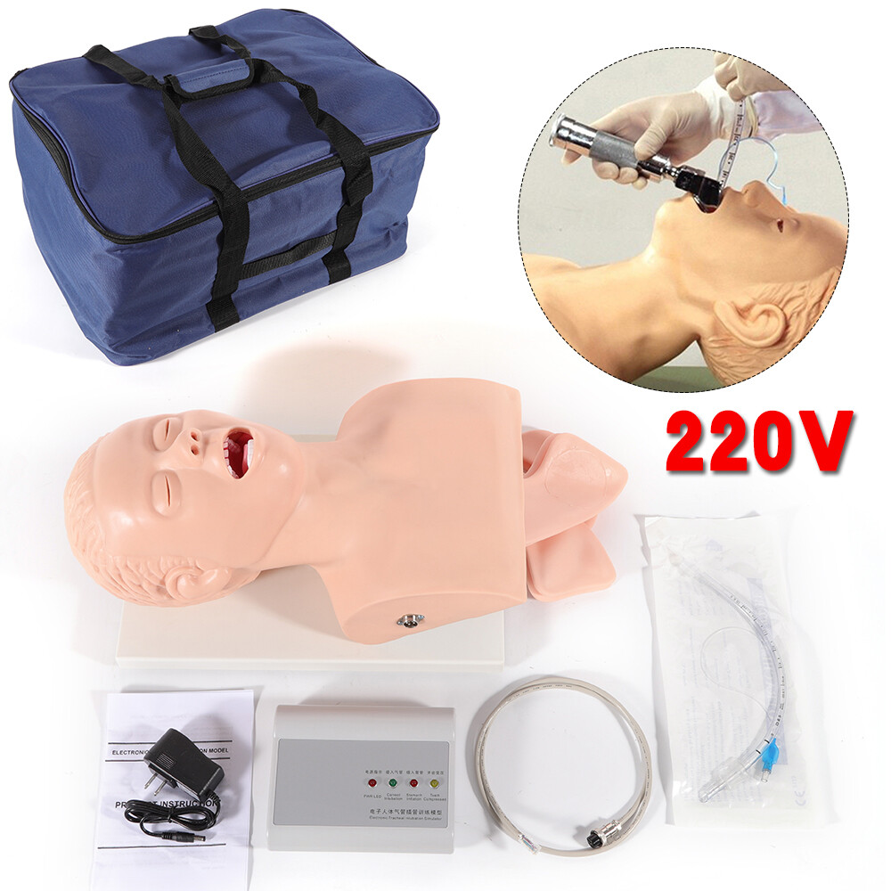 Intubation Manikin Study Teaching Simulator Airway Management Trainer Model