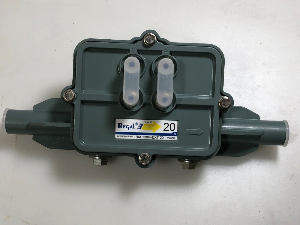 REGAL RMT2004-EXT-20 TAP