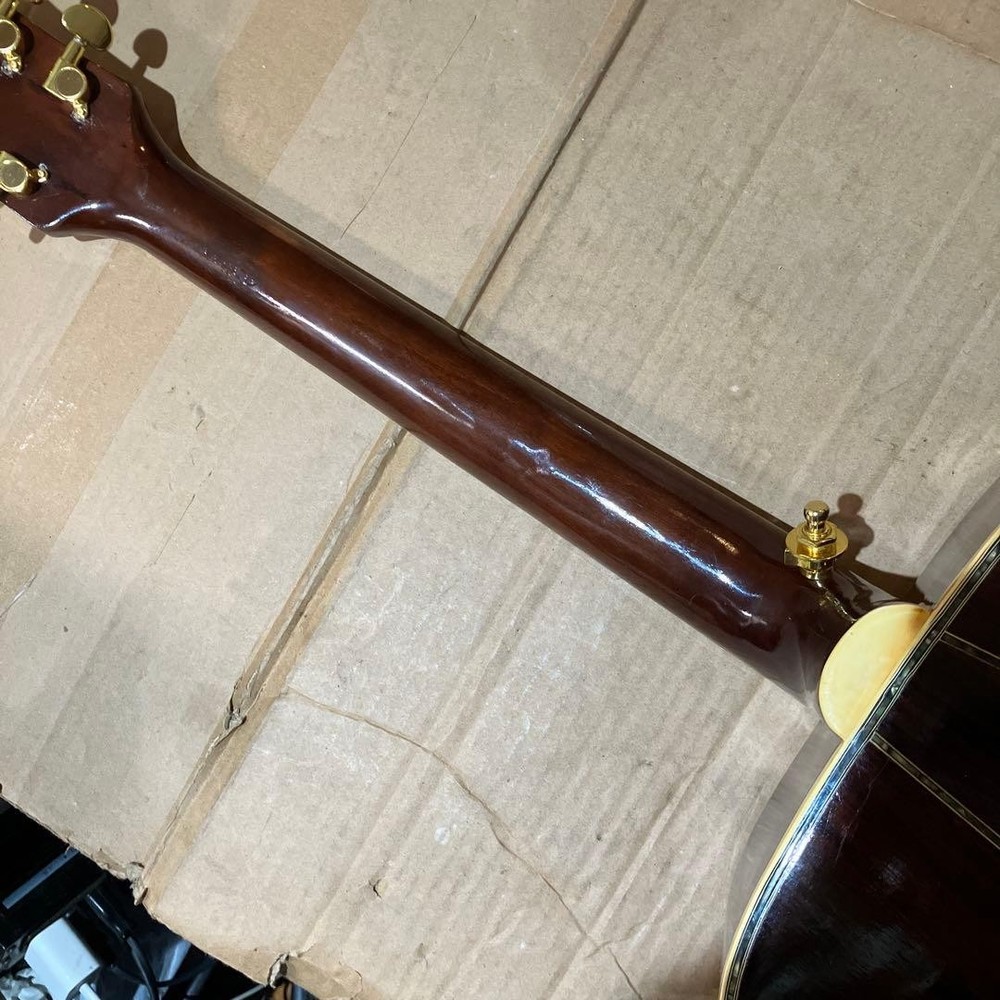 Mysterious Domestic Guild Model