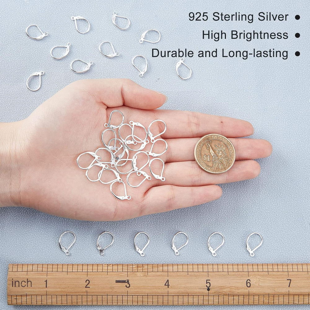 40Pcs Leverback Earrings Hooks Toggle Earring Clasps Lever Back Earring Hooks Ea